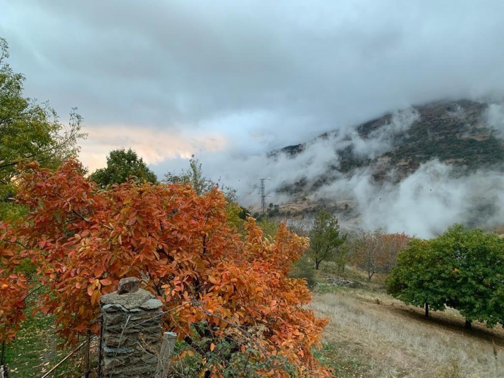 Vila Cortijo Rural El Albercon - Capileira - Alpujarra Rural Exteriér fotografie