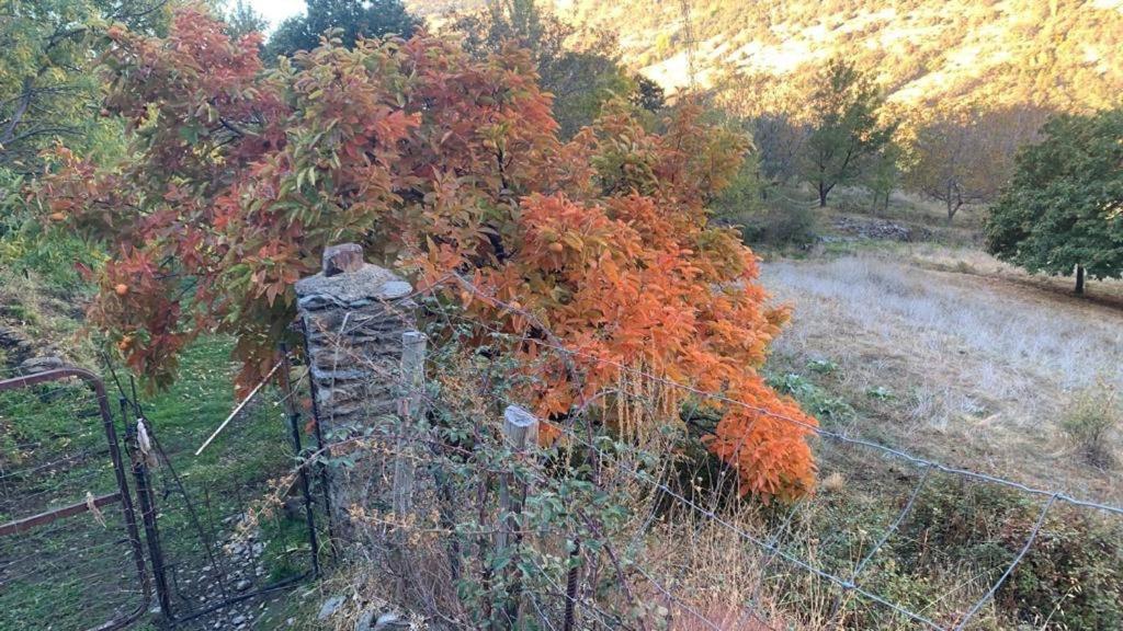 Vila Cortijo Rural El Albercon - Capileira - Alpujarra Rural Exteriér fotografie